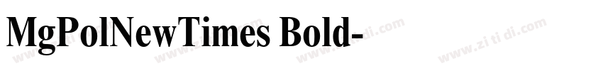 MgPolNewTimes Bold字体转换